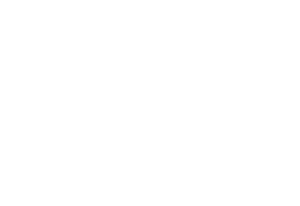 BSS — Beyond Silicon Solutions